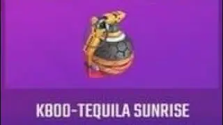 Bullet Angel: New Grenade and New Ai mission?