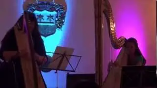 Ave Maria (Franz Schubert) - Arrangement for two Harps