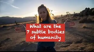 7 subtle bodies of every human being, what are they?