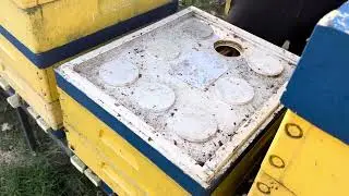 Zamiana korpusów w ulach wielokorpusowych oraz podawanie wody