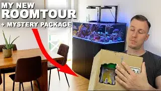 MY NEW FLAT + Unboxing new corals from Coralaxy + NEW AQUASCAPE