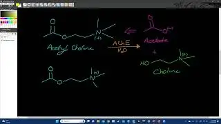 10/9 - MedChem E2 | Anticholinergics