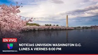 🔴 Noticias Univision DC: Hallan muerta a hispana desaparecida | 10 de septiembre de 2024 | EN VIVO