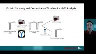 Behind the App Note: MMS for Non-Destructive Structural Characterization: Case Study Using BSA