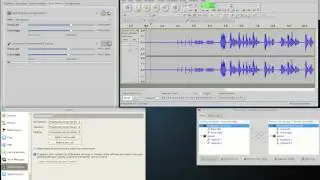 skype recording