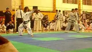 PTG Taekwondo - Carolina Lopez (Choong Jang)- Torneo IMAD 2010
