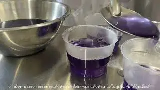 Mini project chemistry: Butterfly Pea Coconut Milk Jelly วุ้นกะทิอัญชัน