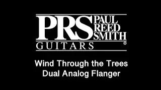 PRS Wind Through the Trees Flanger Review (No Talking) I w/ Fender USA Am ProII Stratocaster SSH