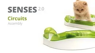 Catit - Senses Circuits - instruction video
