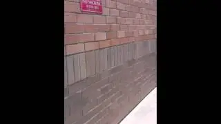 Bitch Mob