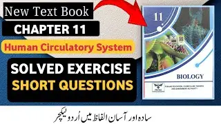 1st Year New Biology book Chapter 11 | Human Circulatory System | Solved exercise Short Questions  