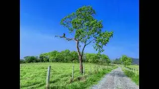 Fotografia - Volta Grande - Piracicaba