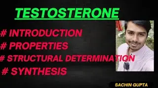 TESTOSTERONE l MALE SEX HORMONE l @thelivingchemistry4918