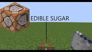 Edible items in minecraft(BEDROCK)