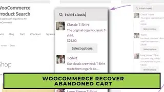 WooCommerce Product Search - best search plugin for WooCommerce 100% GPL Installation & setup