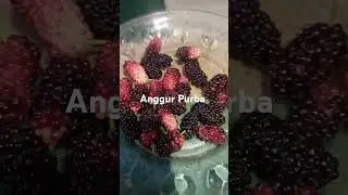 buah anggur purba nih gaes  #buah #anggur #viral #tiktok