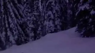 Riley Leboe POV Mustang powder