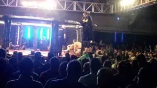 alan philpott cage contender