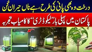 Incredible Science | Liquid Trees: The Innovative Solution to Combat Air Pollution | City 41