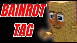I Played Tag a Brainrot In ROBLOX!