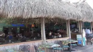 Florida Vlog 2017!