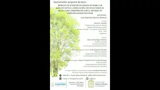 Sustentaci&oacute;n proyecto de tesis Luis Alejandro Moreno Ram&iacute;rez