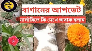 গাছের দুনিয়া থেকে পথে পথে ✨ | নার্সারি, বাগান আপডেট & ট্রাভেল | My Hobby Vlog BD