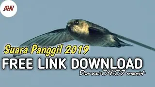 SUARA PANGGIL WALET GRATIS 2019