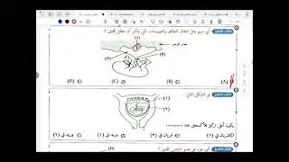 حل الدرس الثامن في التكاثر ملخص التميز