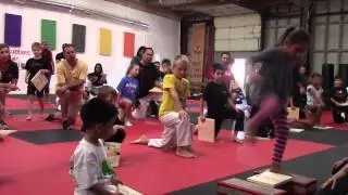 ATA- Wooden Board Break