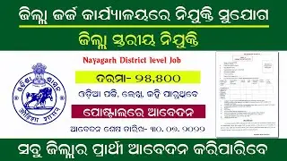 ଜିଲ୍ଲା ସ୍ତରୀୟ ନିଯୁକ୍ତି ସୁଯୋଗ । District Level Job in odisha. Nayagarh district job