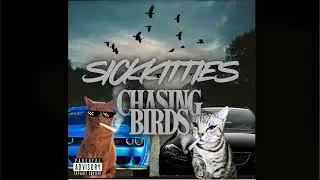 CHASING BIRDS 