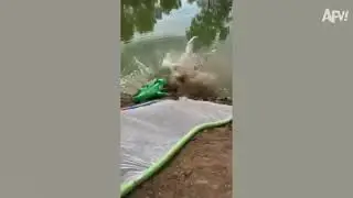  ফানি ভিডিও দেখেন আর হাসেন 