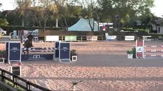 WEF 2013 video