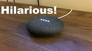 Some Funny Random Things to Ask Your Google Assistant