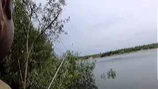 MOV02317