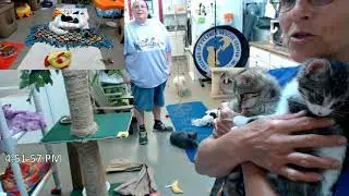 Adoption of Brinn and Wonder 08-03-2018