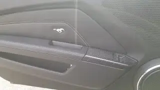 Carbon Fiber LG155 Door Pull Inserts(Trufiber)