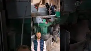 3.8tons ph 90KW Wood pellet machine #fcnfm #youtubeshorts