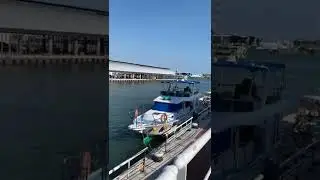 高雄美麗的鼓山渡輪站 Beautiful Gushan Ferry Pier Station #shorts