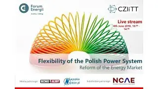 FLEXIBILITY OF THE POLISH POWER SYSTEM. Reform of the energy market