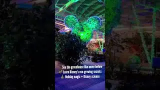 Скоро откроется бронирование на тур &laquo;За семенами: мерцающие теплицы&raquo; #шорты #дисней #epcot