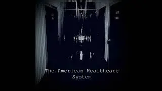 The American Healthcare System - Pig on the Beat