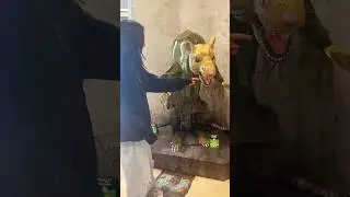 Mutant Sewer Rat ANIMATRONIC 🫣🐀 #trending #viral #reel #halloween #animatronics #happyhalloween