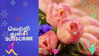 அபிராமியை காப்பாற்றிய துளசி/கெட்டி மேளம் 19 ஜனவரி 2026