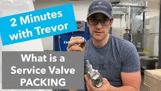 Service Valve Packing