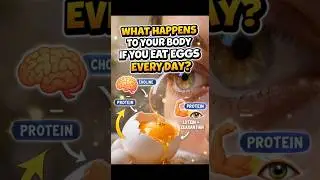 🥚 WHAT HAPPENS TO YOUR BODY WHEN YOU EAT EGGS EVERY DAY?#eggs #healthyeating #nutritionfacts #shorts