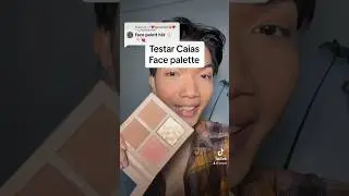 Testar smink fr&aring;n Caia: Face palette, Classy