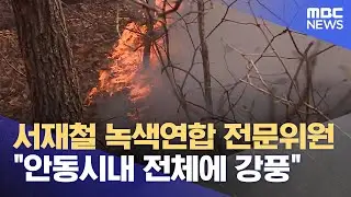 서재철 녹색연합 전문위원 