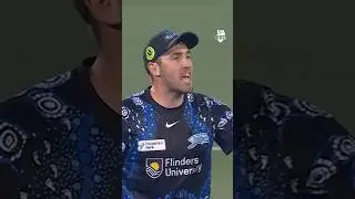 Mankad! This was spicy 🌶️ #cricket #bigbash #bbl15